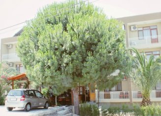 Albergo Hotel